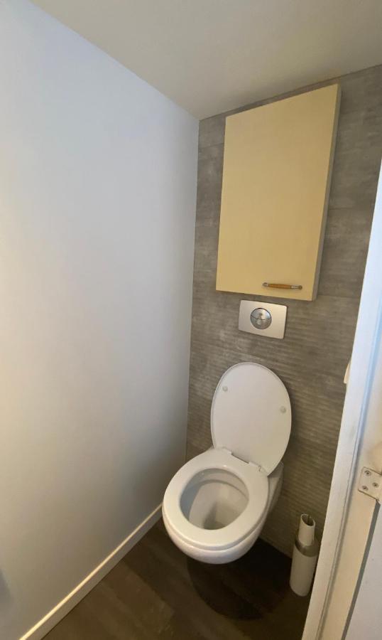 T3 En Duplex Pour 6 Pers Bien Place Terrasse Et Parking Inclus Διαμέρισμα Τουλούζη Εξωτερικό φωτογραφία